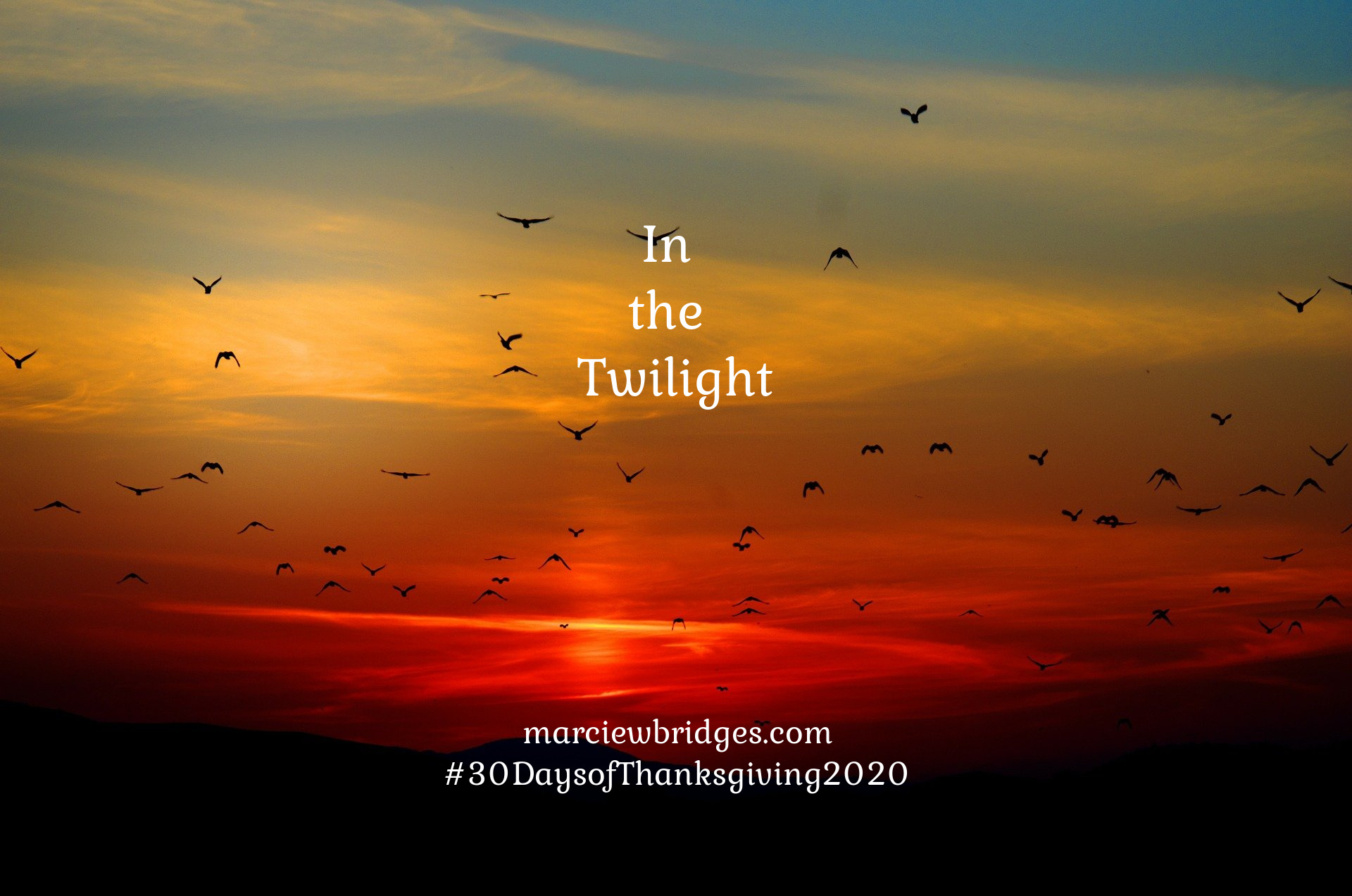 In the Twilight Marcie W Bridges